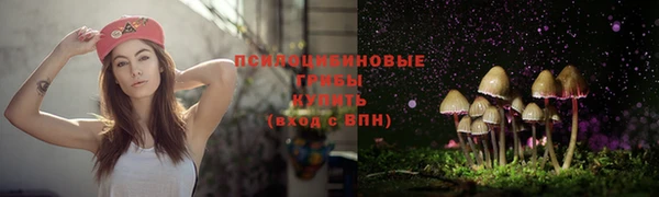 бошки Армянск