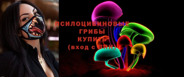 a pvp Аркадак