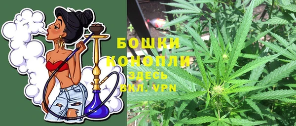a pvp Аркадак