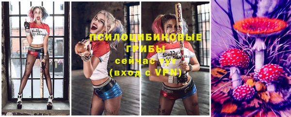 a pvp Аркадак