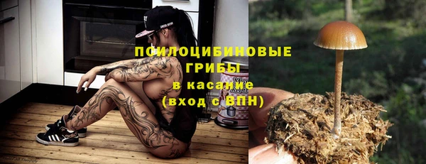 спиды Арсеньев