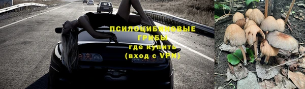 a pvp Аркадак